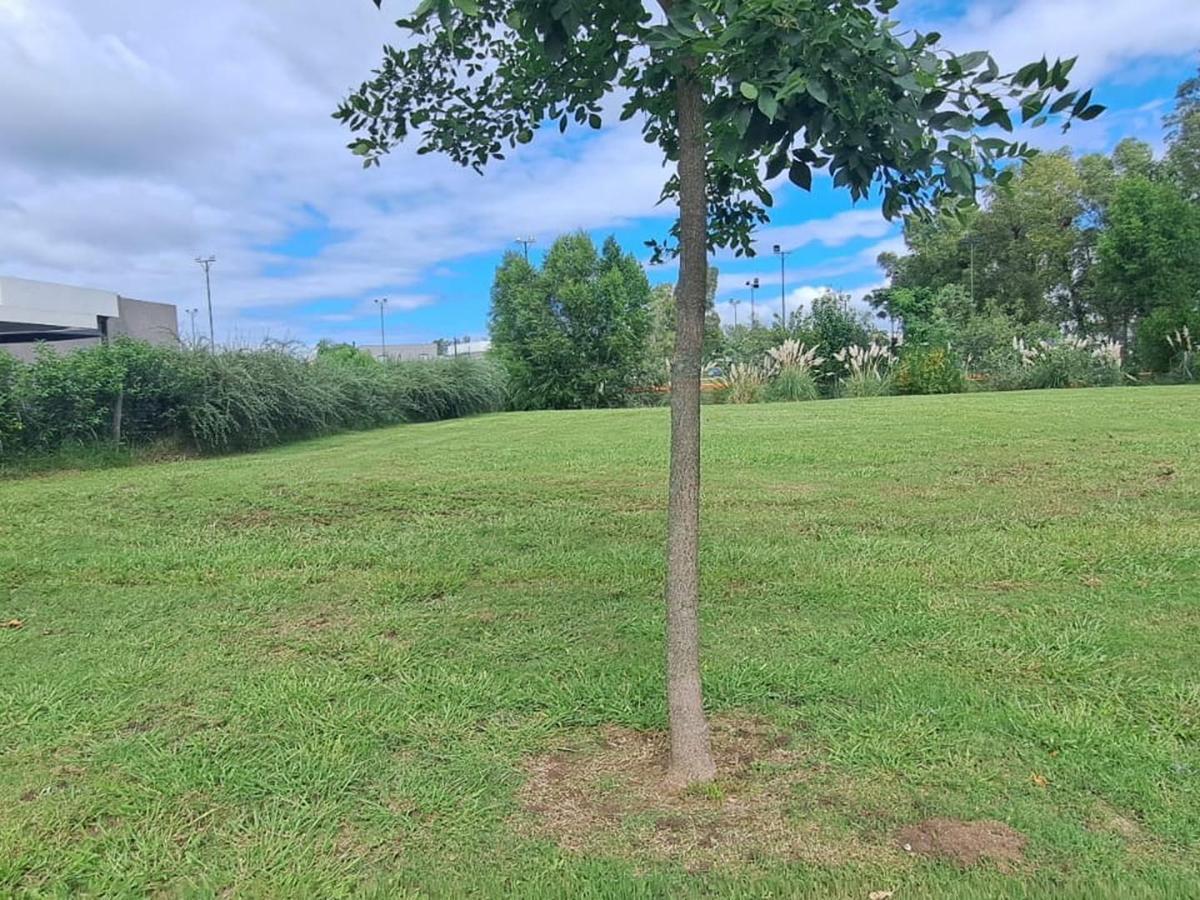 Foto de Venta Terreno 590m2 Santa Elena - Pilar del Este, imagen 4
