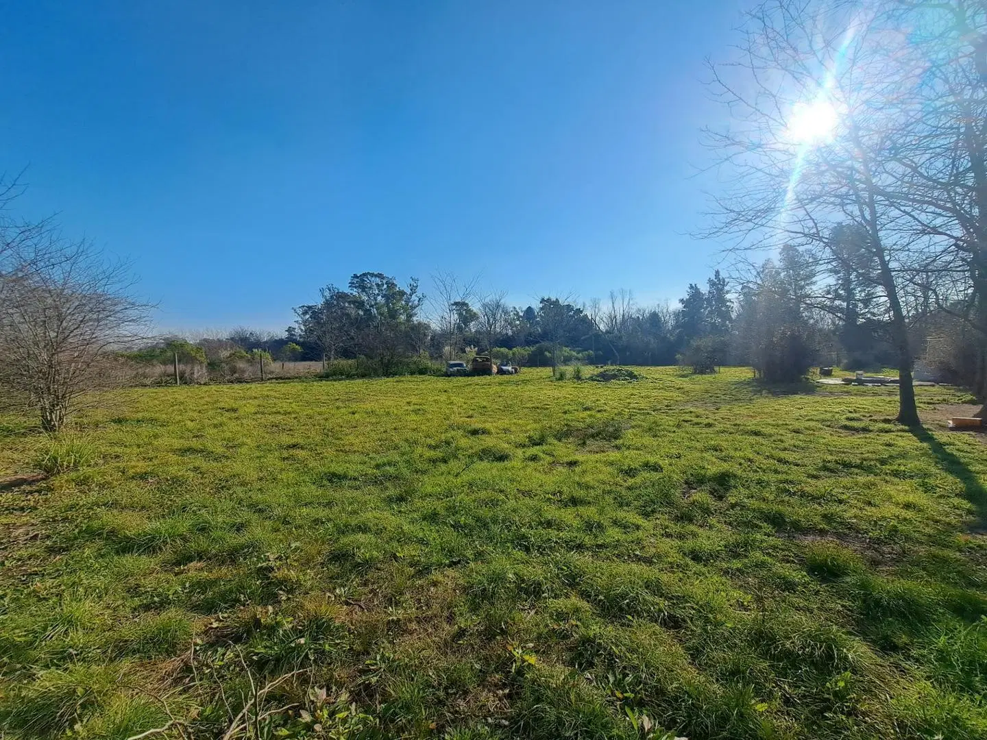 Venta terreno La Lonja Pilar 3300m2 4