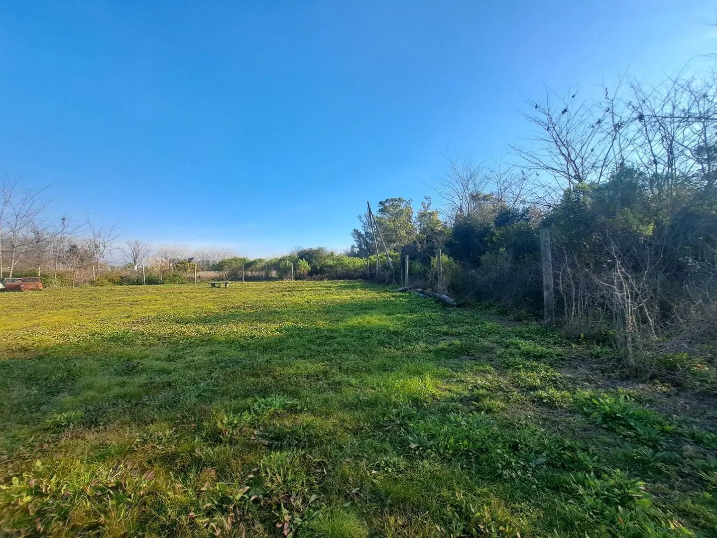 Venta terreno La Lonja Pilar 3300m2 2
