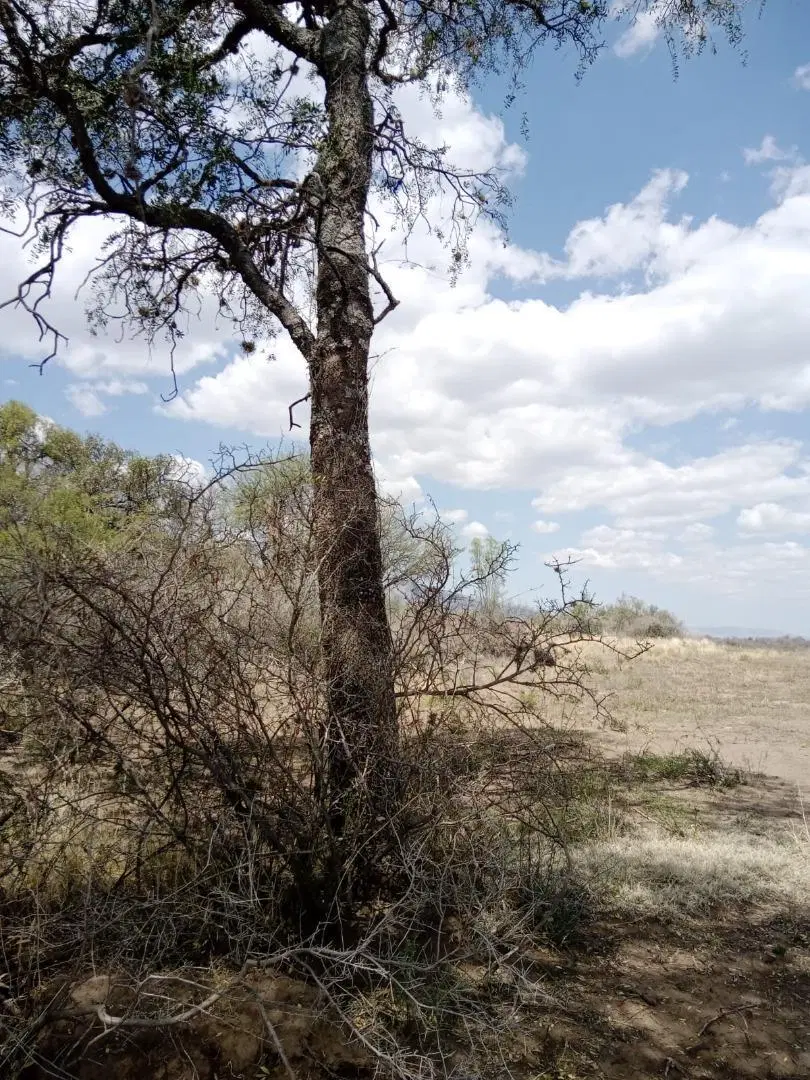 Venta Lote 5625mts Merlo San Luis 2
