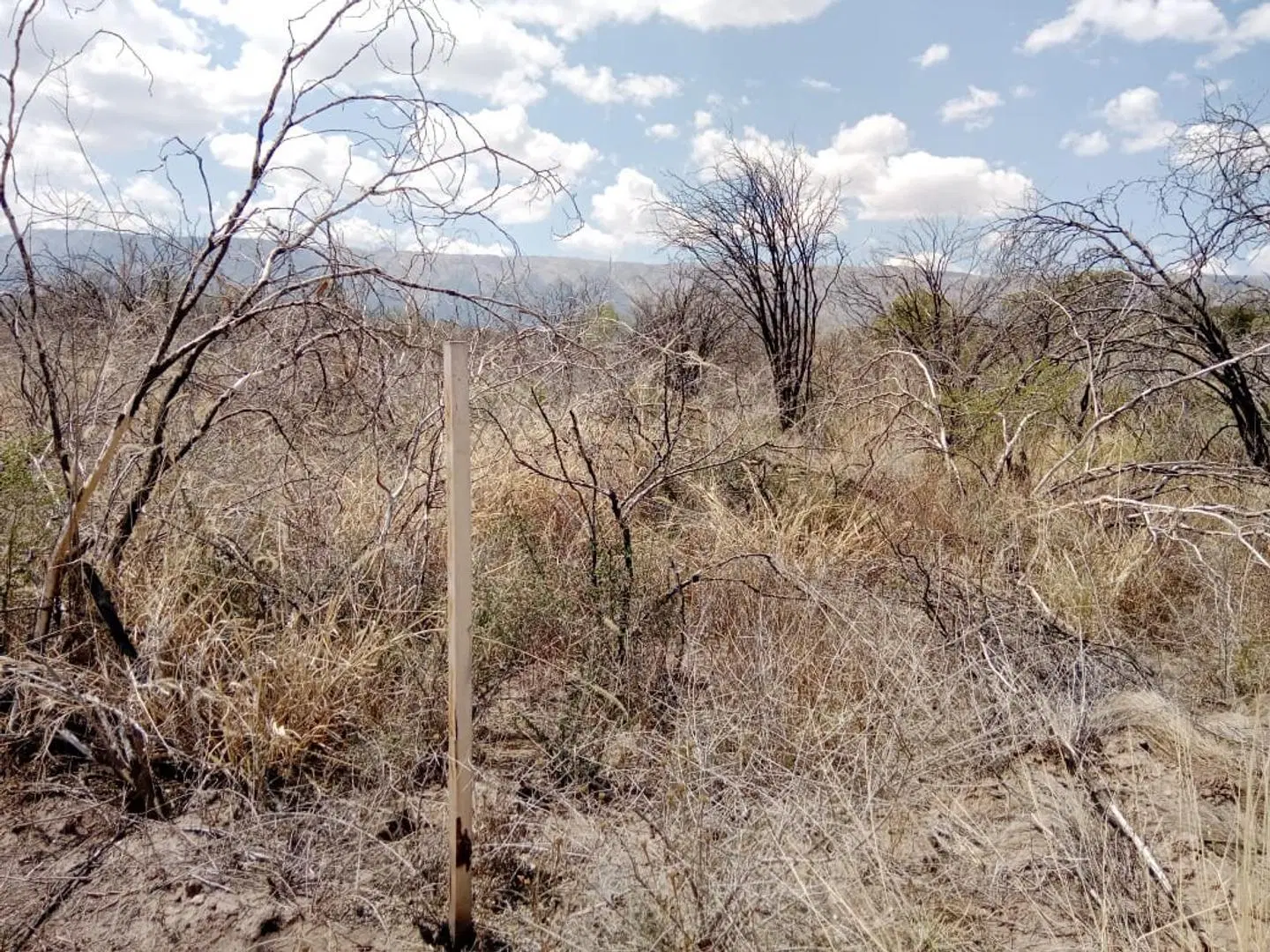 Venta Lote 5625mts Merlo San Luis 5