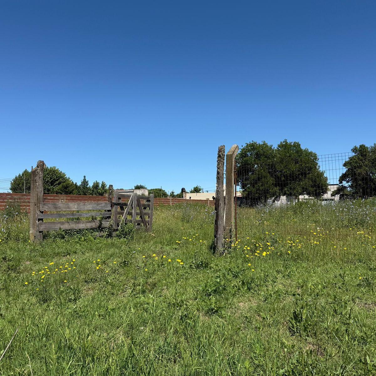 Lote 900 m² 4