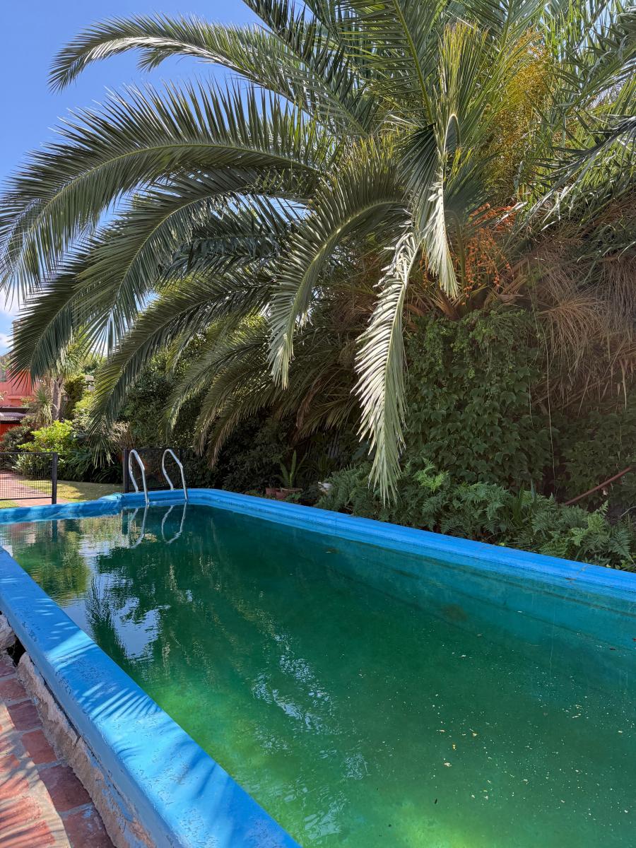 Casa con Pileta y Amplio Jardin en El Centro de Nuestra Ciudad. 5