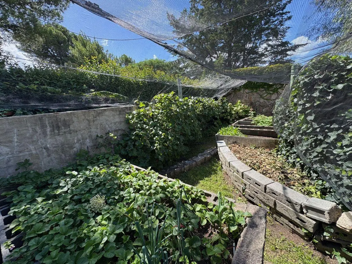 Casa Lejos 5