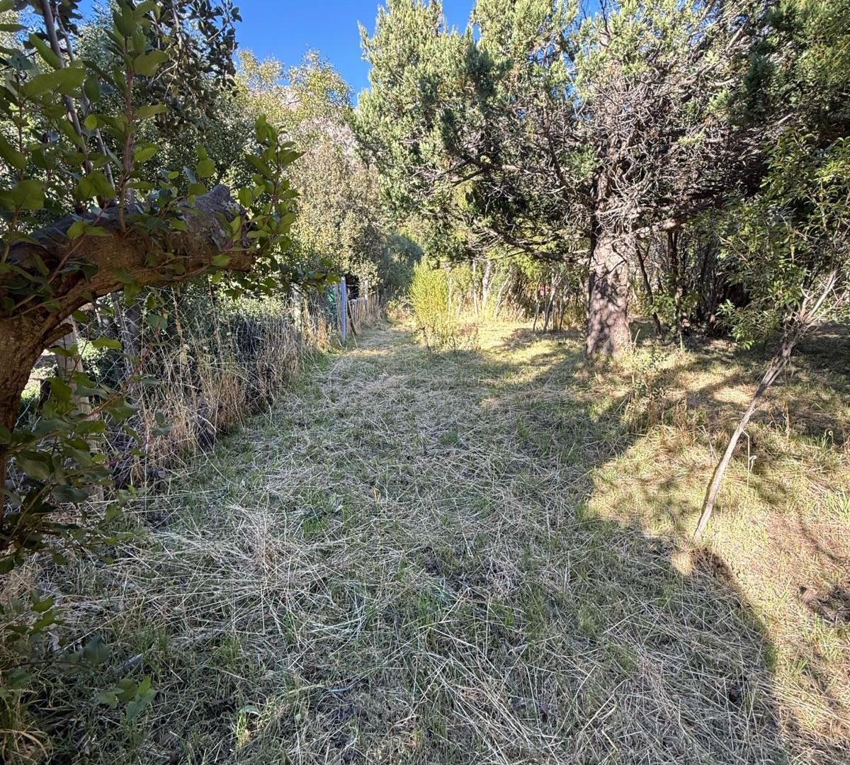 Foto de LOTE ENVENTA DE 1012 M2- BARRIO REINA MORA- CON VISTA AL CERRO VENTA Y, imagen 4