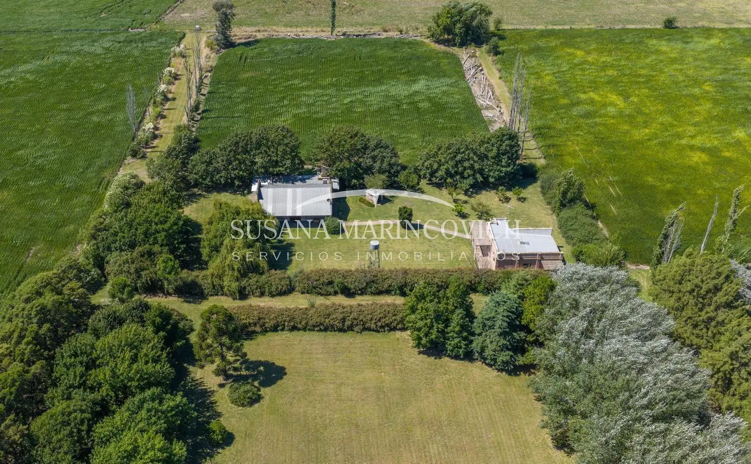 Chacra de 20ha en venta en San Andres de Giles 5