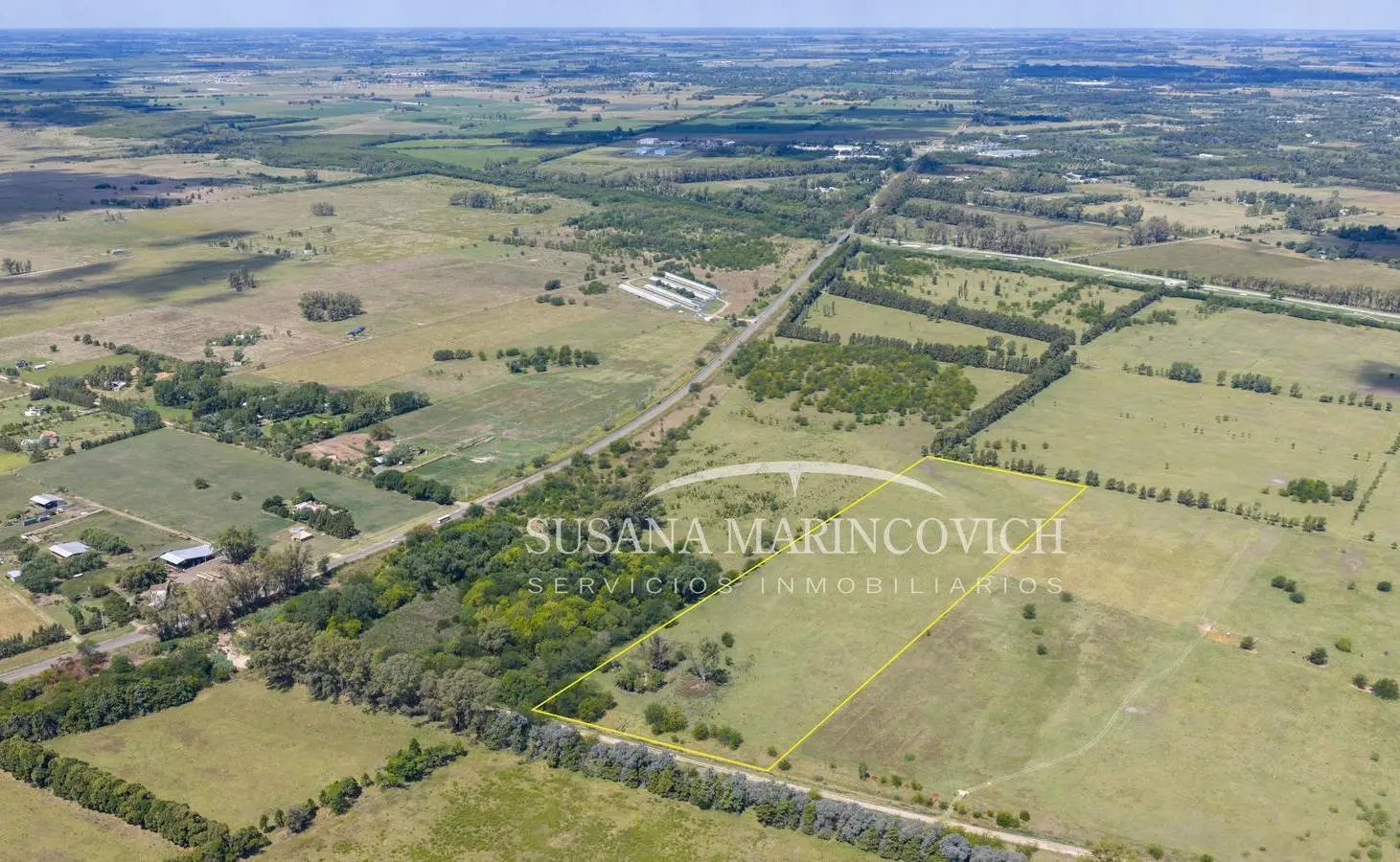 Chacra 6ha en venta con casa a 300 m de Ruta 41 – Mercedes 4