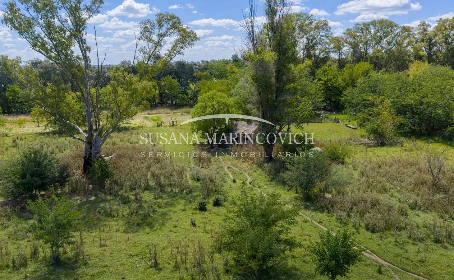 Chacra 6ha en venta con casa a 300 m de Ruta 41 – Mercedes 5