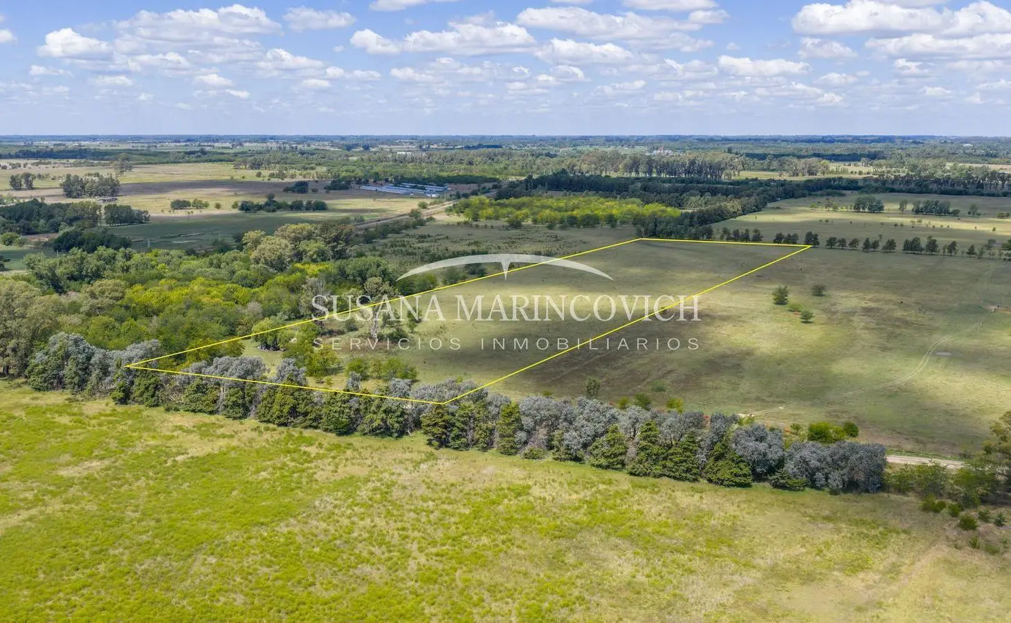 Chacra 6ha en venta con casa a 300 m de Ruta 41 – Mercedes 2