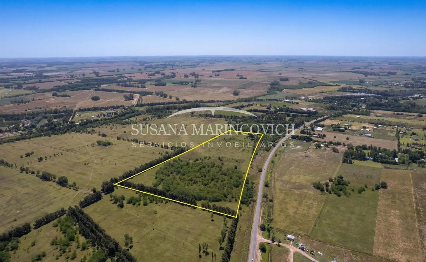 Fracciónde 12 ha en venta sobre Ruta 41 – Mercedes 3