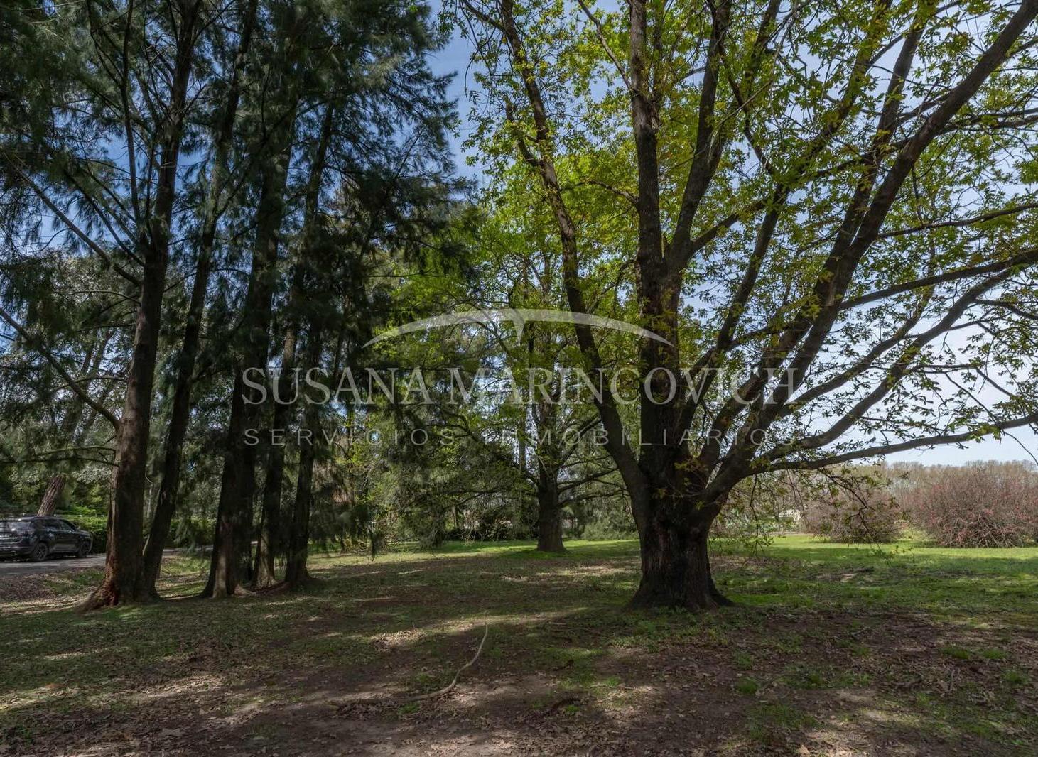 Foto de Lote en Centauros Polo Club, imagen 3