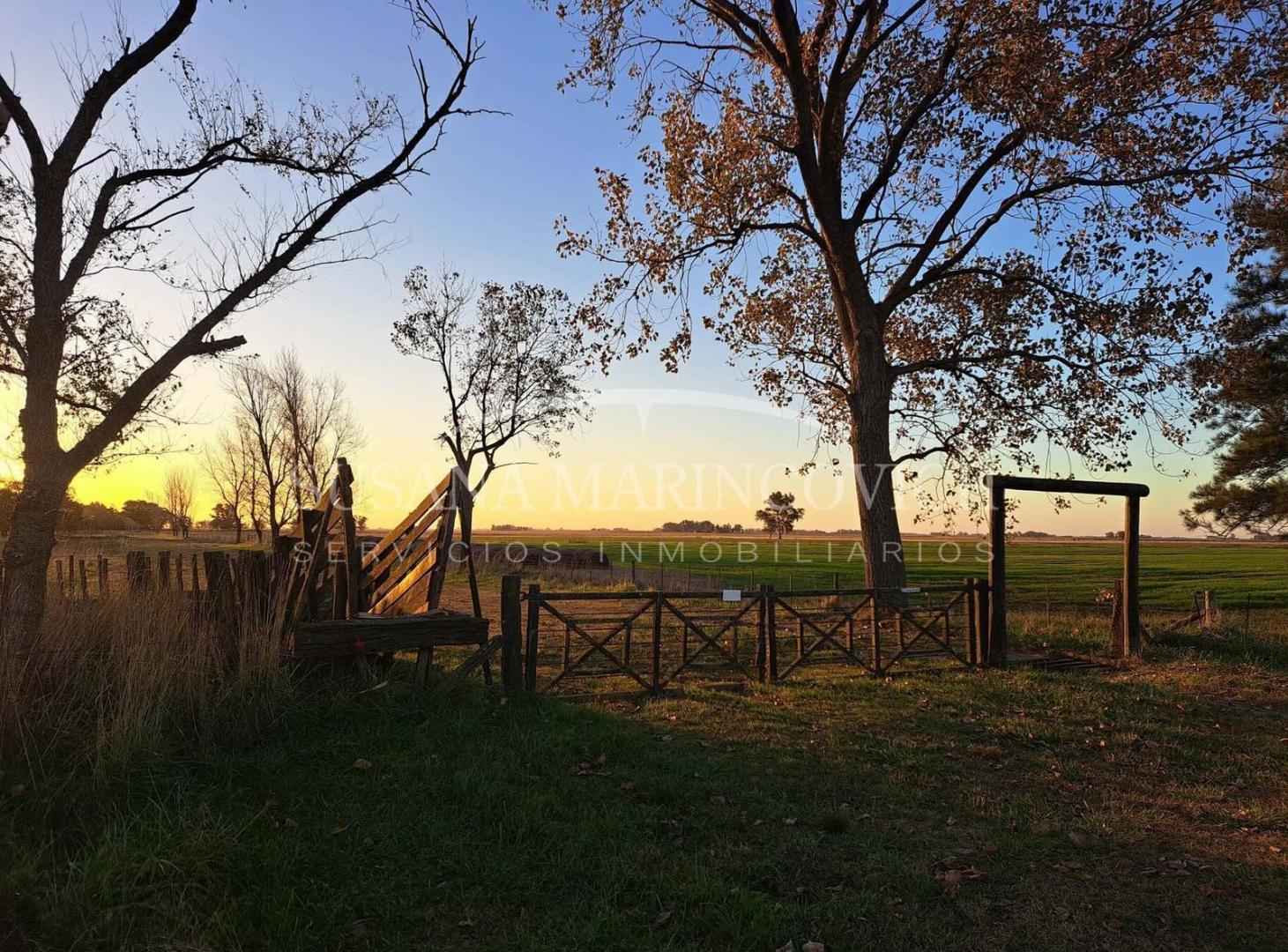 Campo en venta en Saladillo Provincia de Buenos Aires