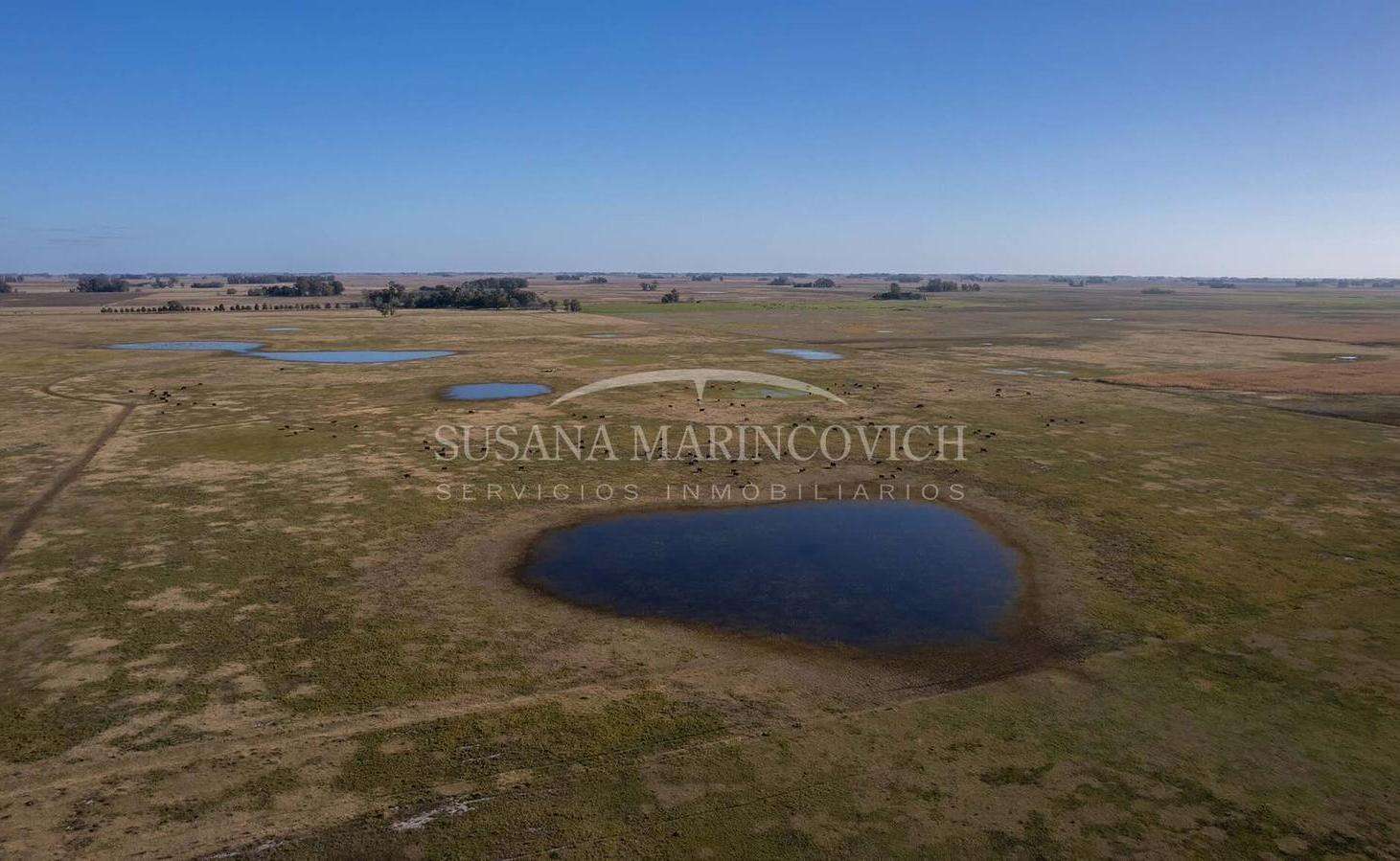 Foto de Campo en venta en Saladillo Provincia de Buenos Aires, imagen 4