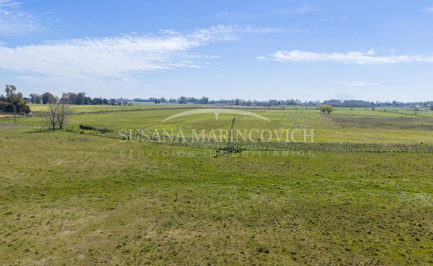 Foto de Campo de 44ha en Cucullu San Andres de Giles, imagen 4