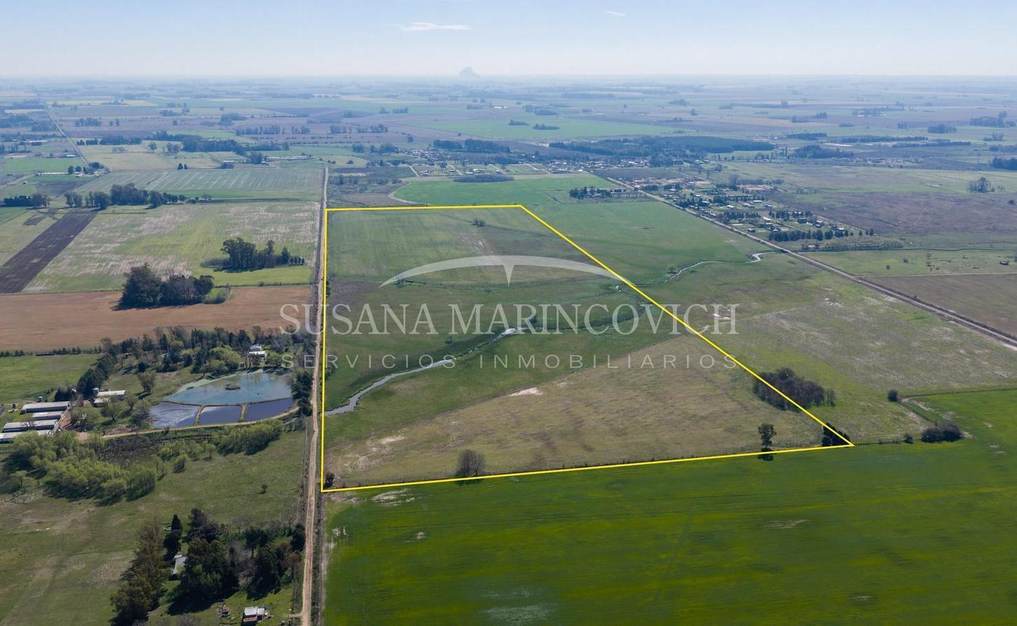 Foto de Campo de 44ha en Cucullu San Andres de Giles, imagen 3