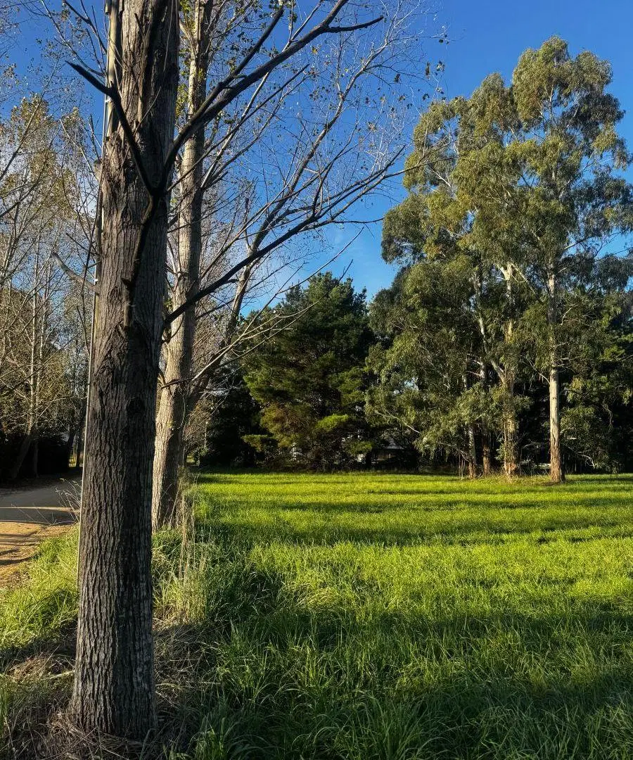 LOTE EN CHACRAS DEL PARAÍSO- TANDIL 8