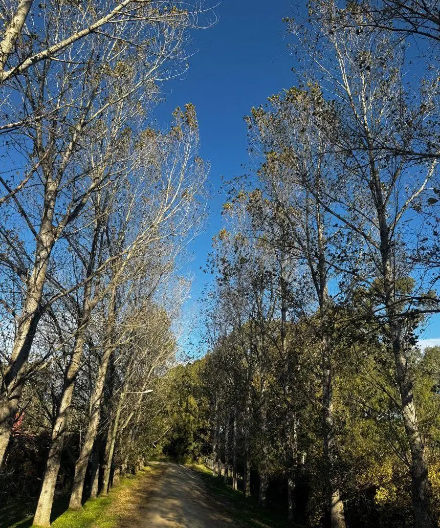 LOTE EN CHACRAS DEL PARAÍSO- TANDIL 4
