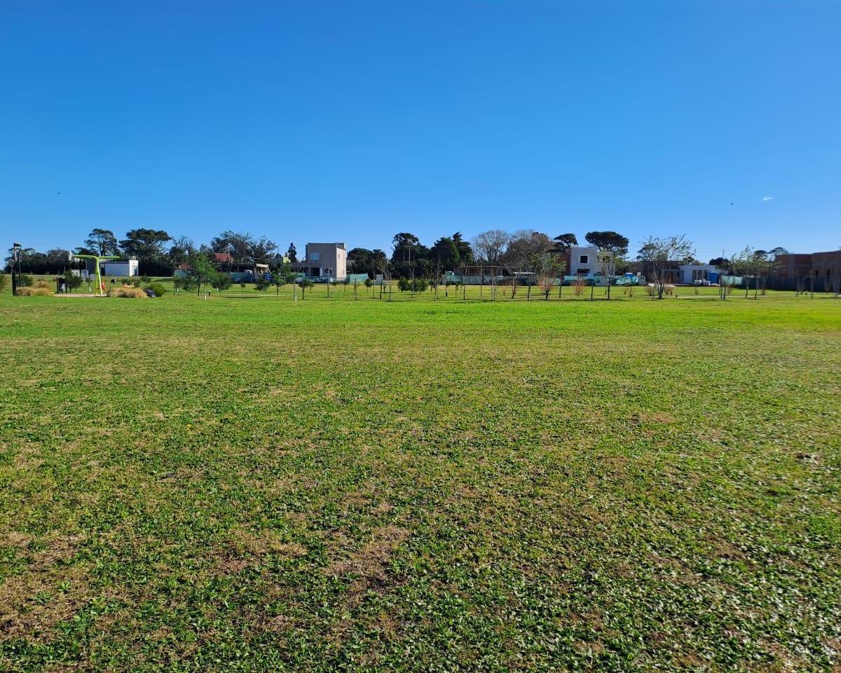 Terreno en Developer Park 4