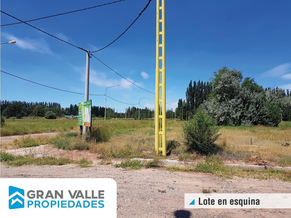 Foto de Terreno - Centenario, imagen 1