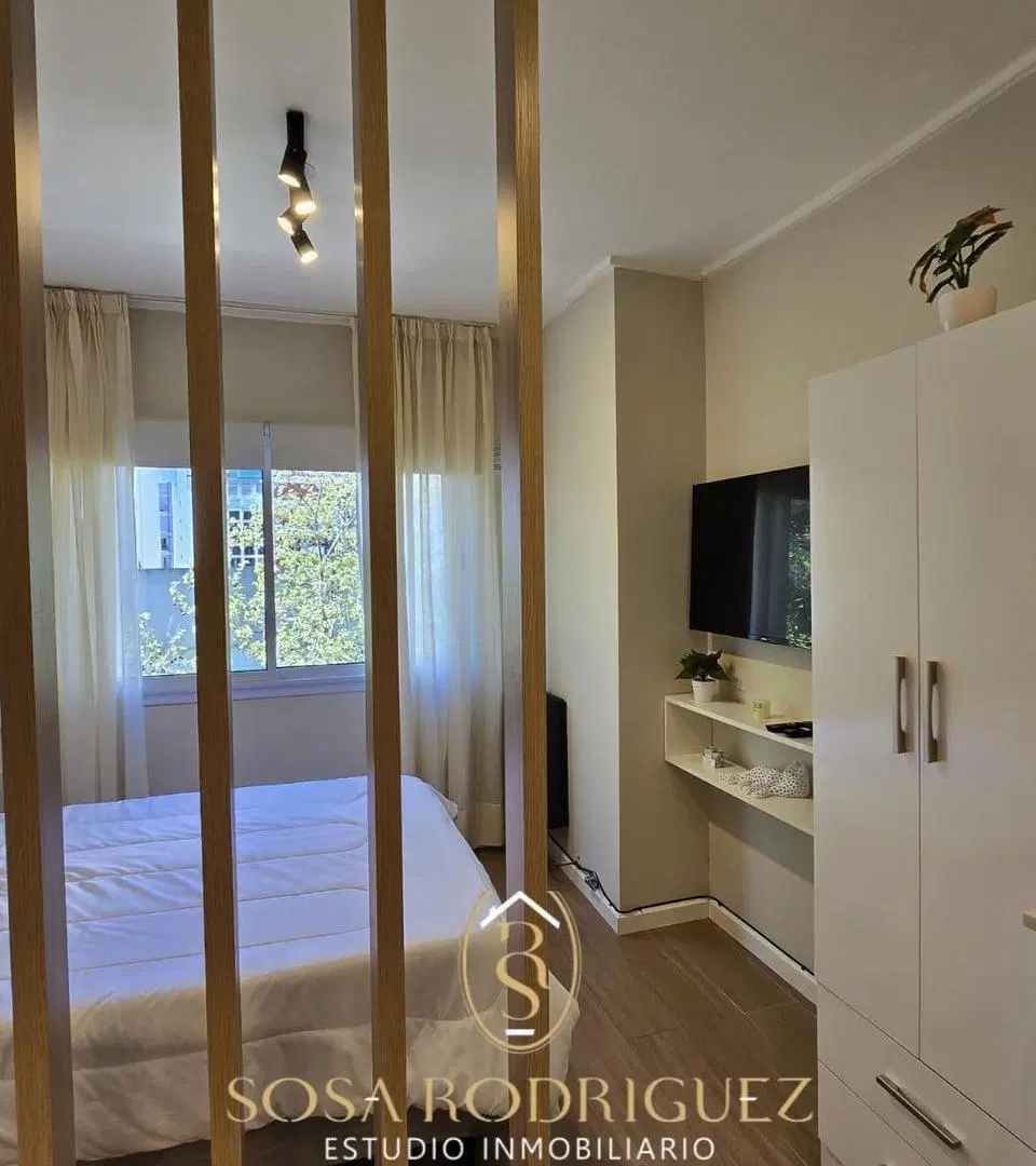 Departamento en Plaza Mitre 2