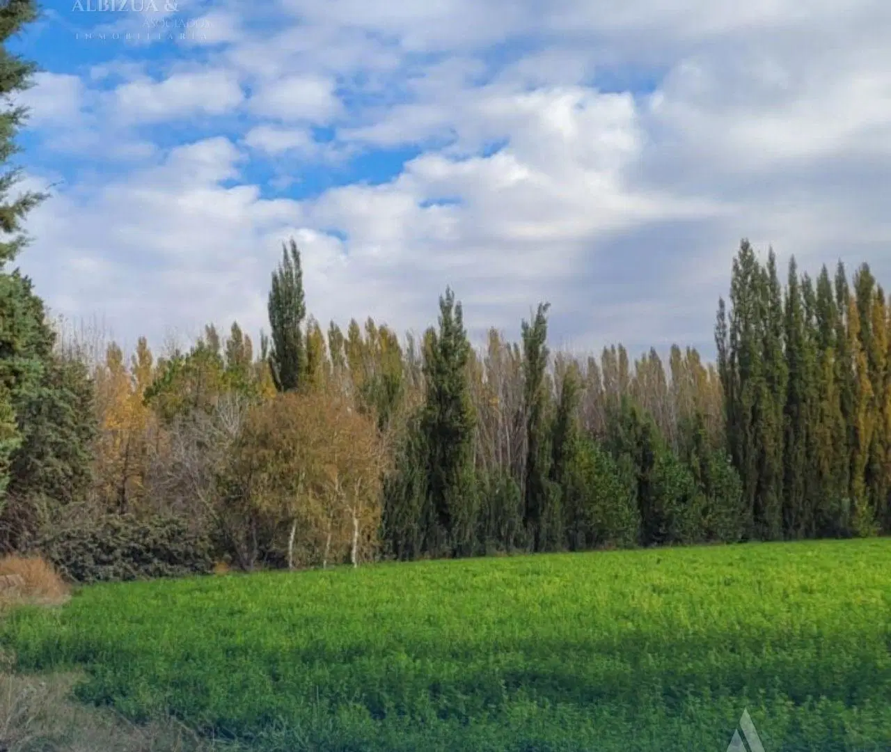 VENTA CHACRA 5 HA. CENTENARIO 7