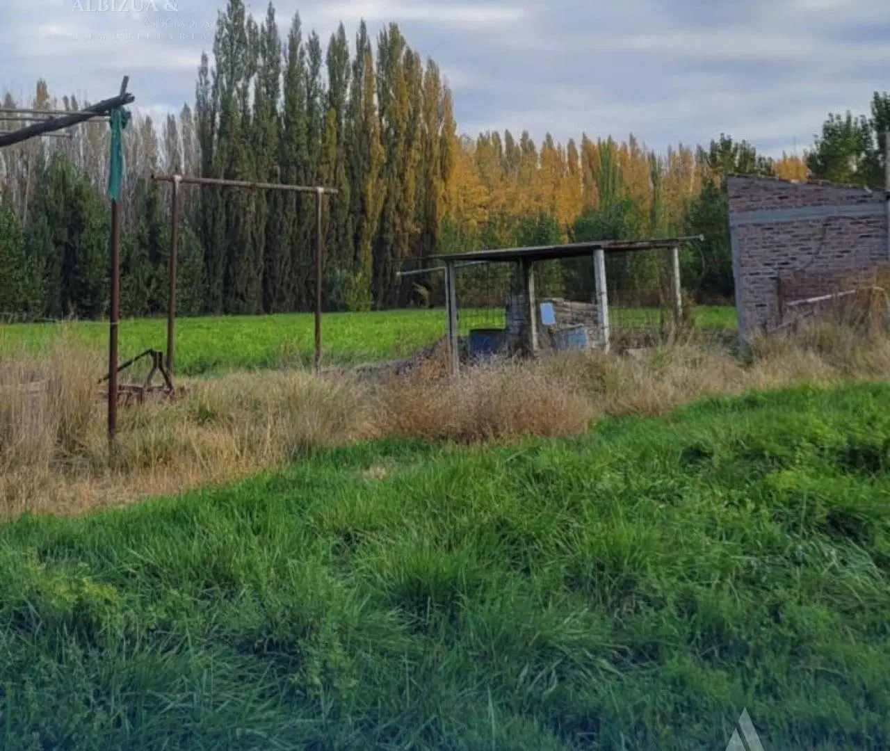 VENTA CHACRA 5 HA. CENTENARIO 2