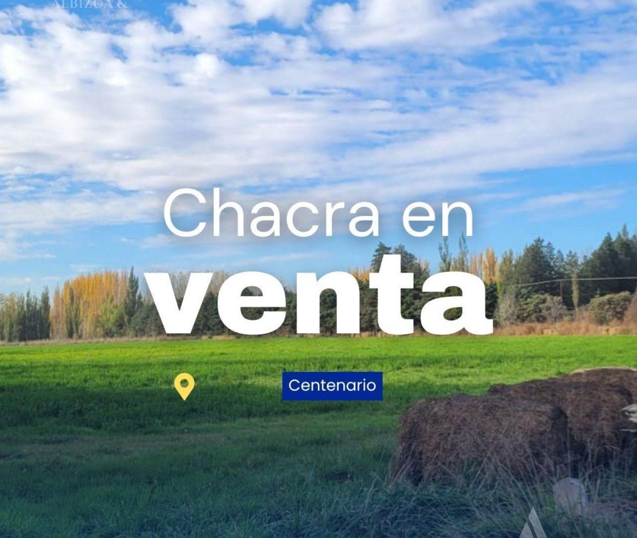 Foto de VENTA CHACRA 5 HA. CENTENARIO, imagen 1