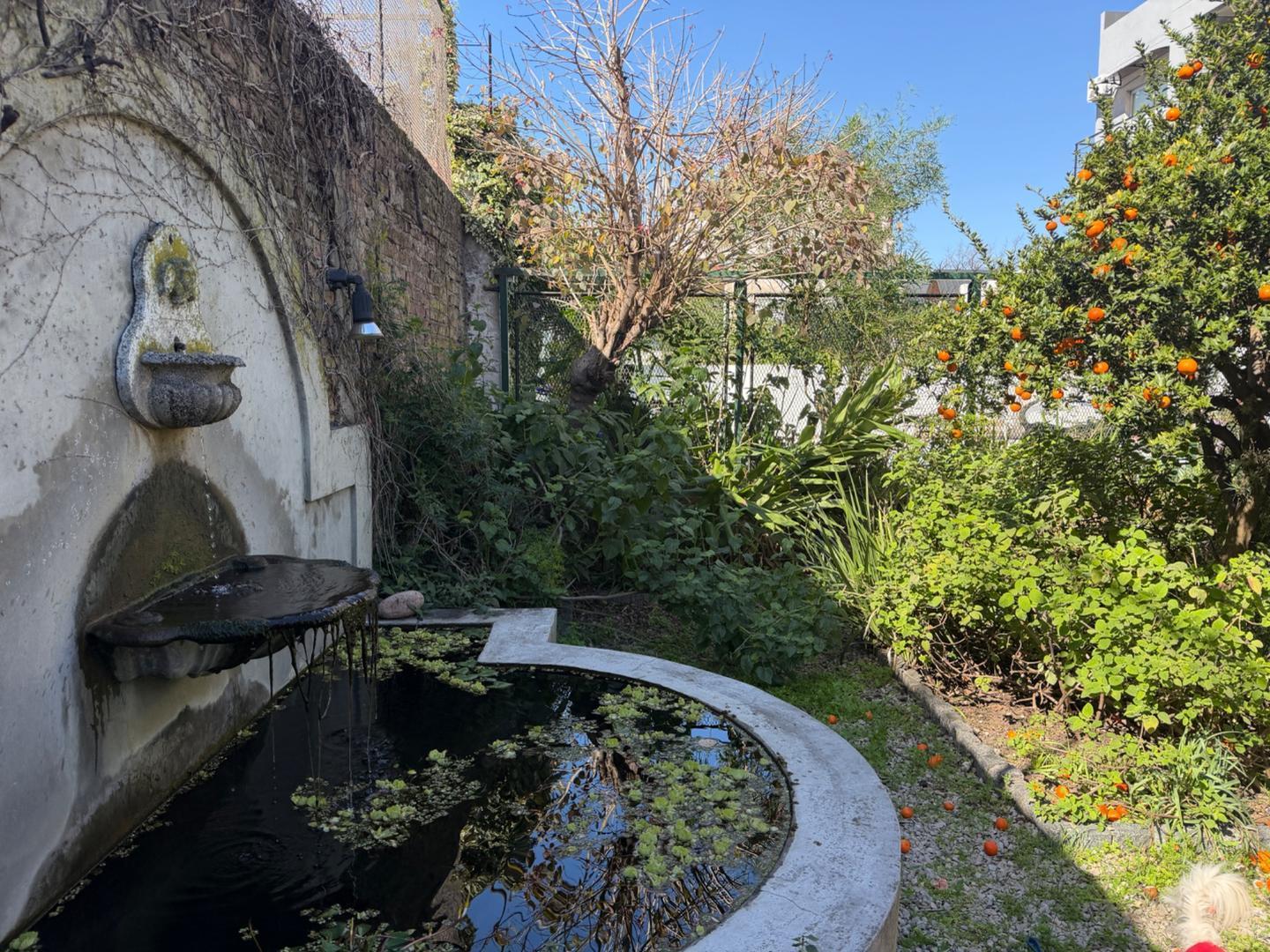Foto de Casa tipo loft en venta en excelente zona en Saavedra, imagen 4