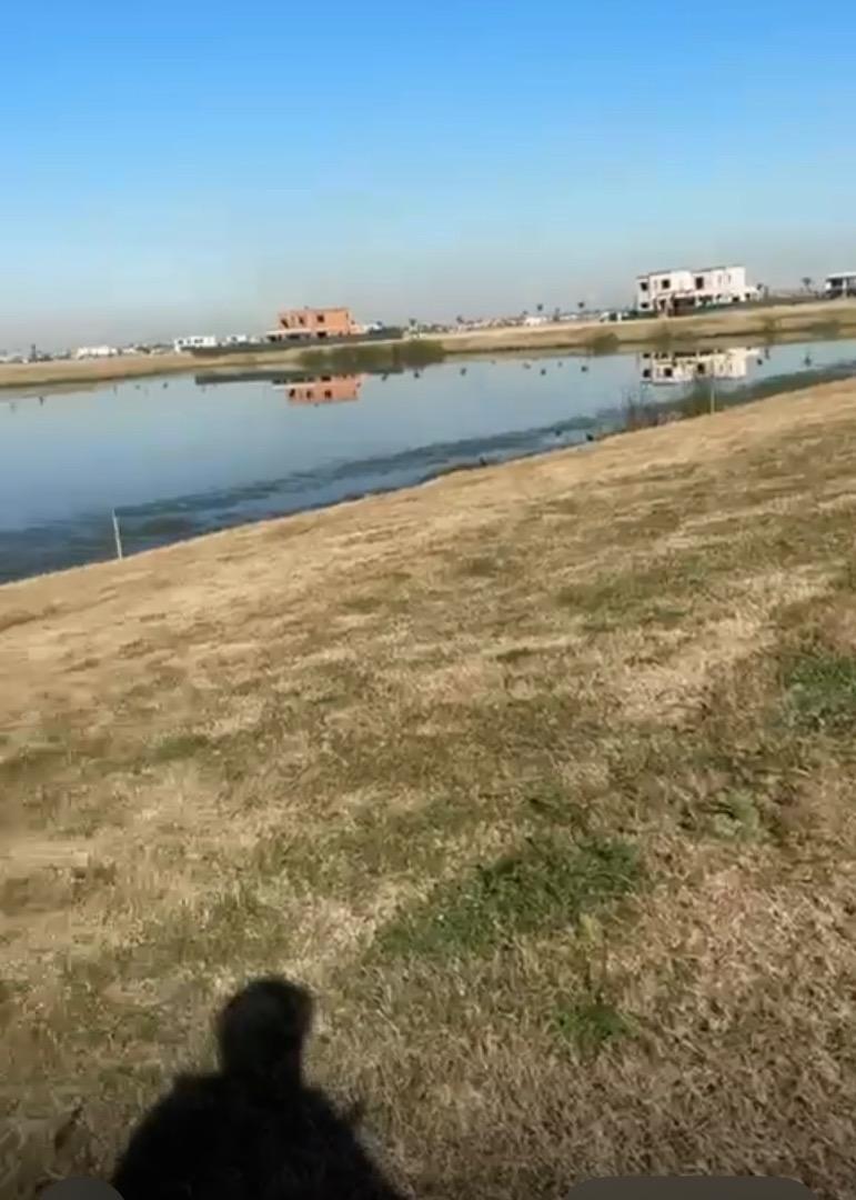 Foto de Lote en venta en Amarras, Puertos del Lago, imagen 5