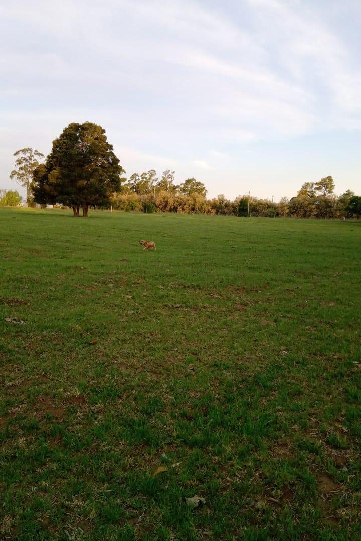 Foto de QUINTA EN VENTA EN ORENSE | 17.500 m², imagen 1