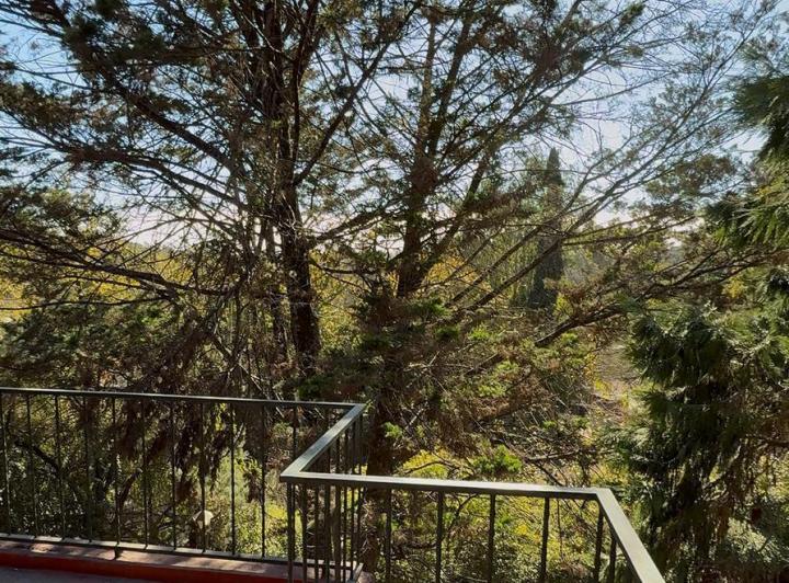Venta de Chalet en Salsipuedes Zona el Bosque 3