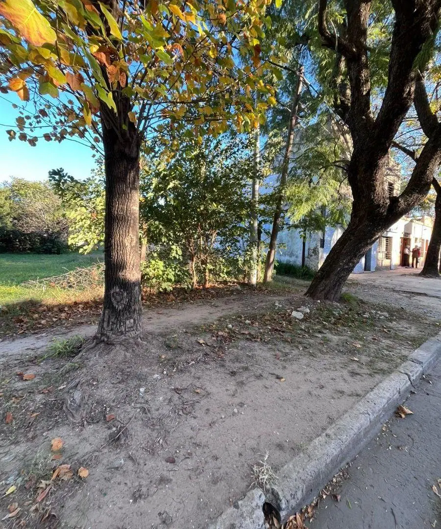 Terreno de 374 m² en venta en el Centro. 4