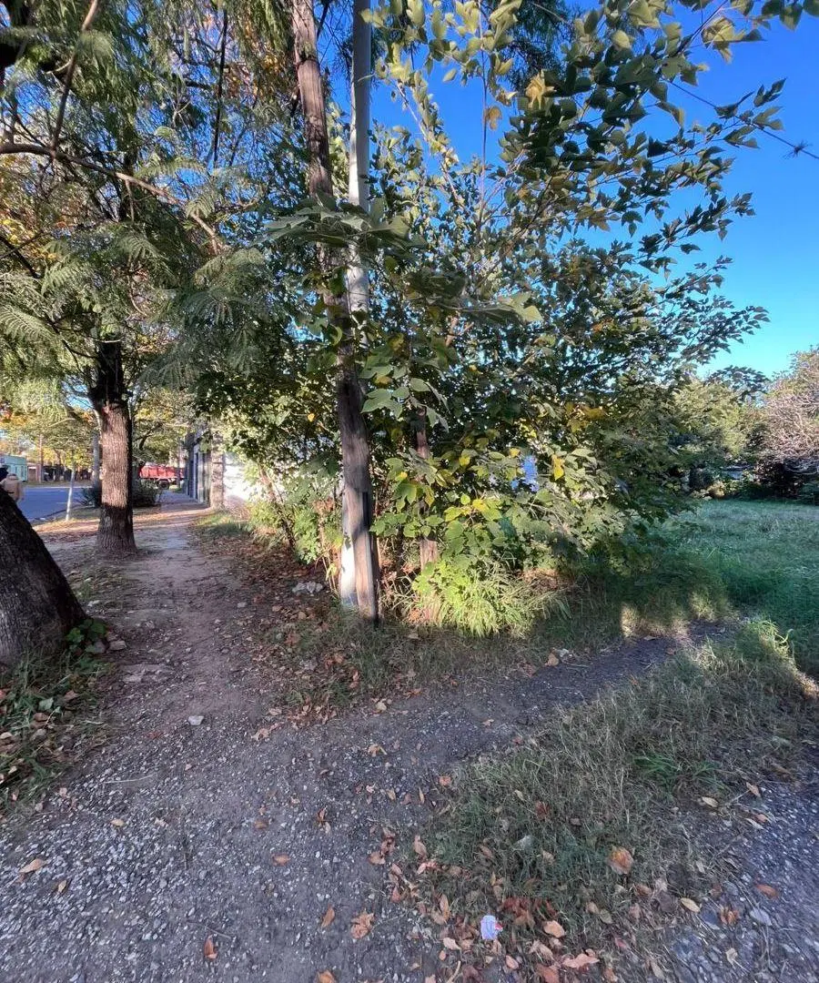 Terreno de 374 m² en venta en el Centro. 2