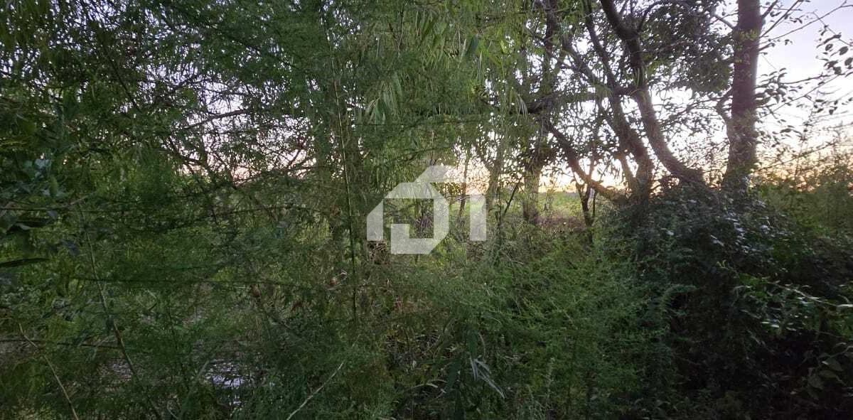 Foto de Terreno Lote en Venta en Benavidez, Tigre, G.B.A. Zona Norte, imagen 3