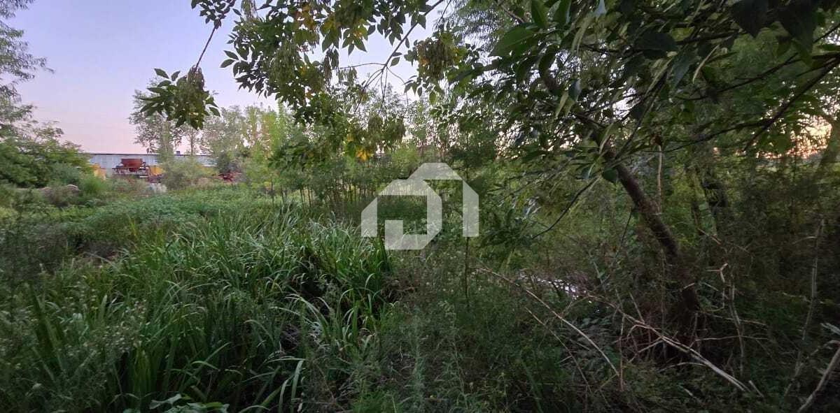 Foto de Terreno Lote en Venta en Benavidez, Tigre, G.B.A. Zona Norte, imagen 4