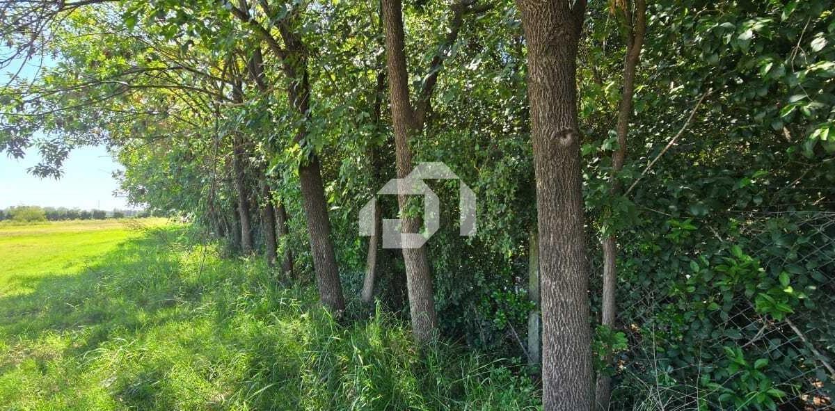 Foto de Terreno Lote en Venta en Benavidez, Tigre, G.B.A. Zona Norte, imagen 2
