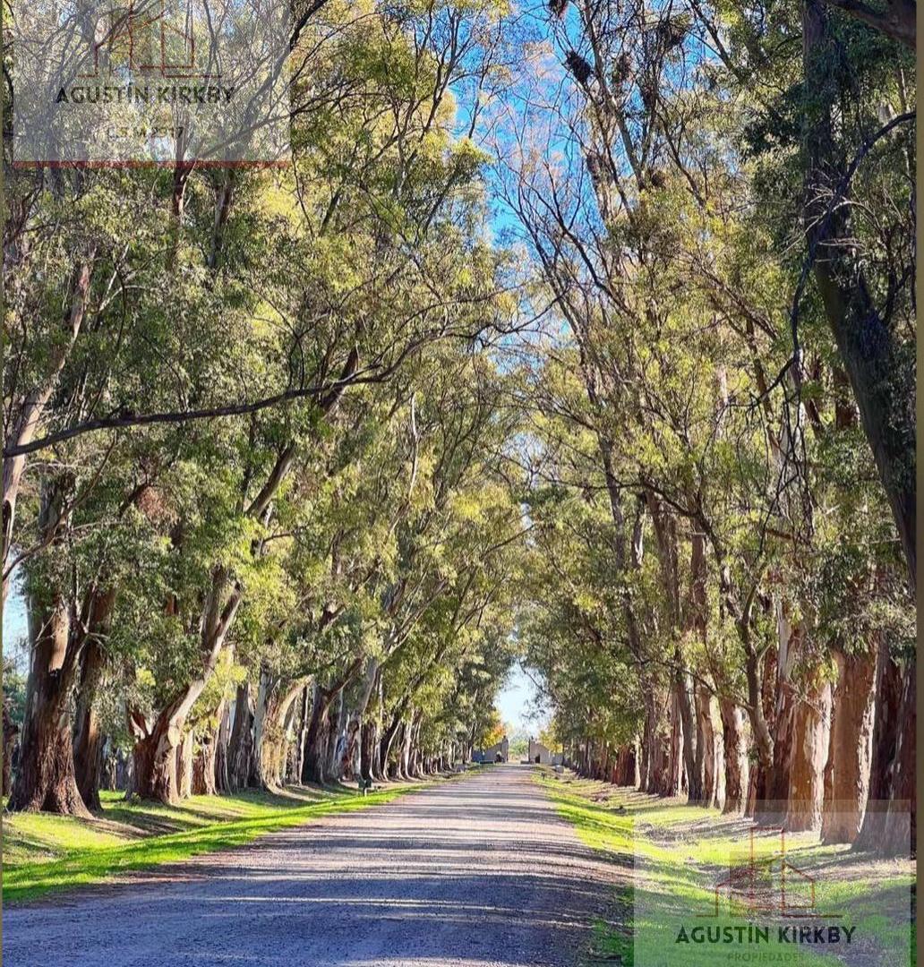 Foto de Terreno en Chacras de San Andrés, imagen 4