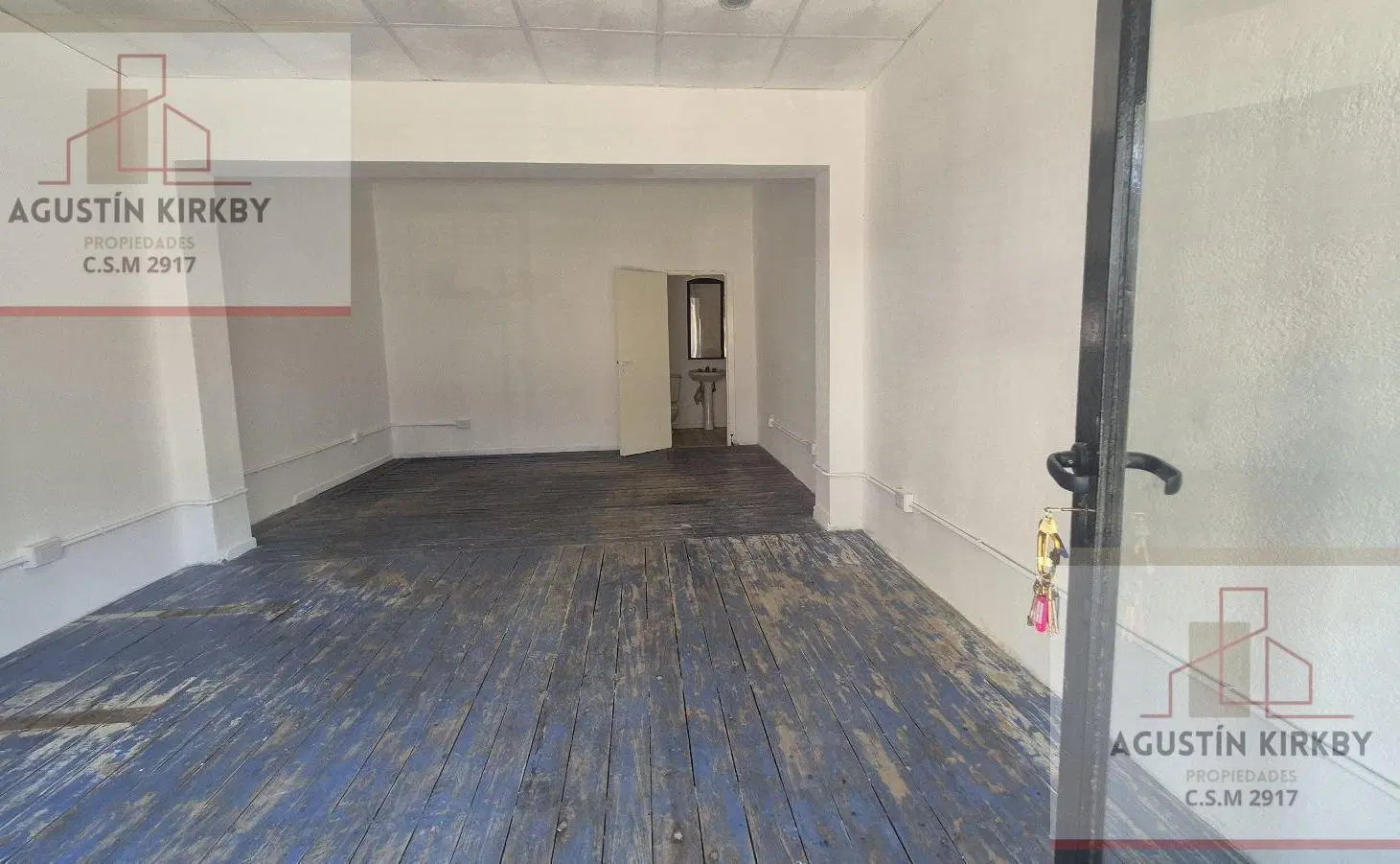 Local - Jose Clemente Paz 2