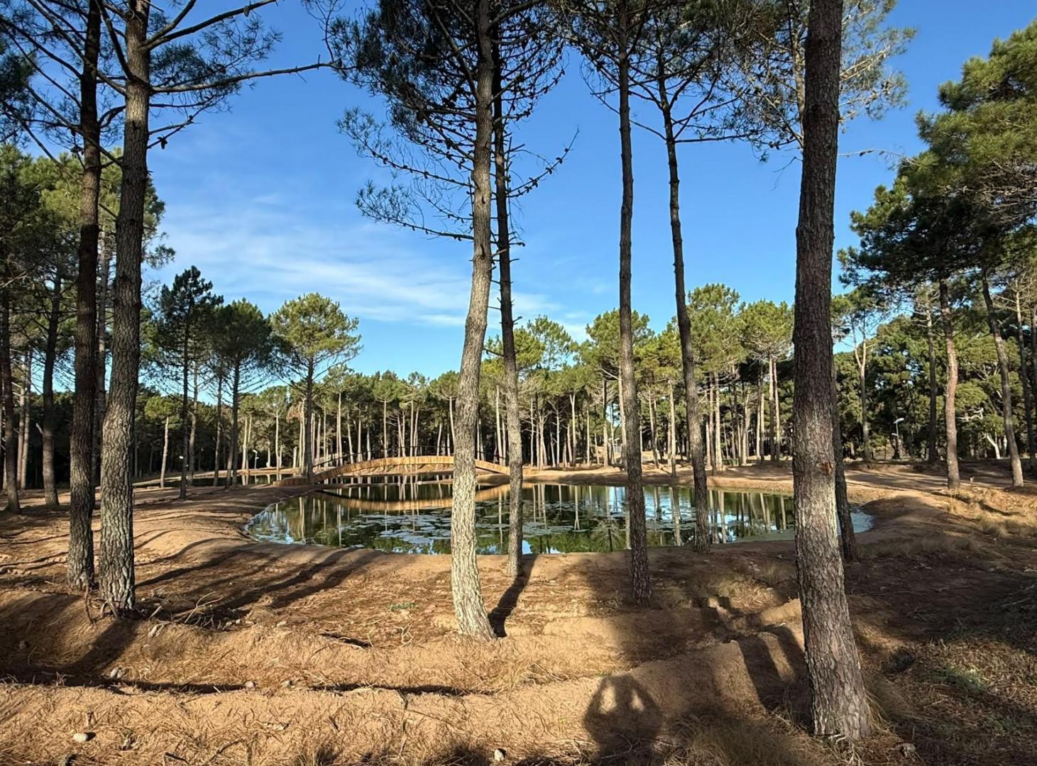Foto de Terreno en venta Barrio Brisas Villarobles Pinamar de 925 m2, imagen 4