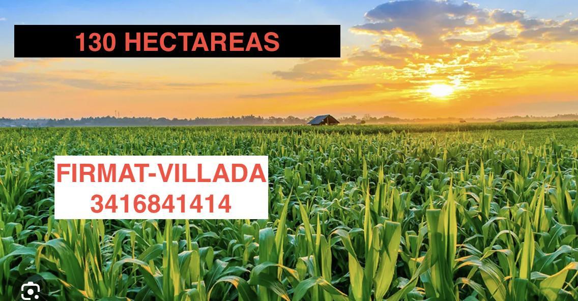 Campo 130 Ha Agricola - Ganadero con Casa Firmat - Villada Ruta 33 3