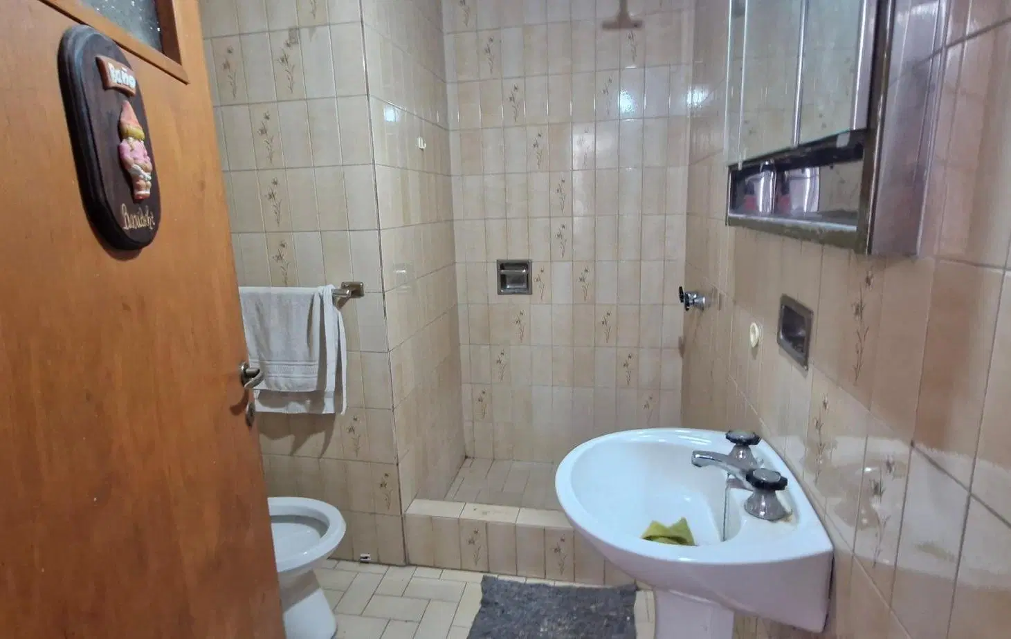 CASA ALQUILER QUINTA SECCION, MENDOZA 8