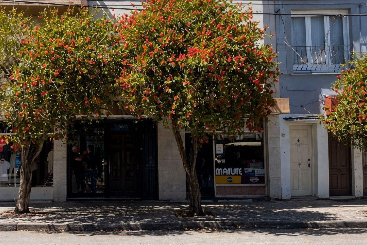 Venta Dpto 3 amb con Parrilla Apto Crédito Chauvin
