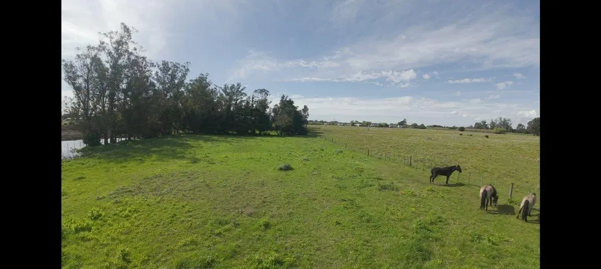 VENTA Lote - Quinta 10.000 m2 (54,80 x 182,40) 2