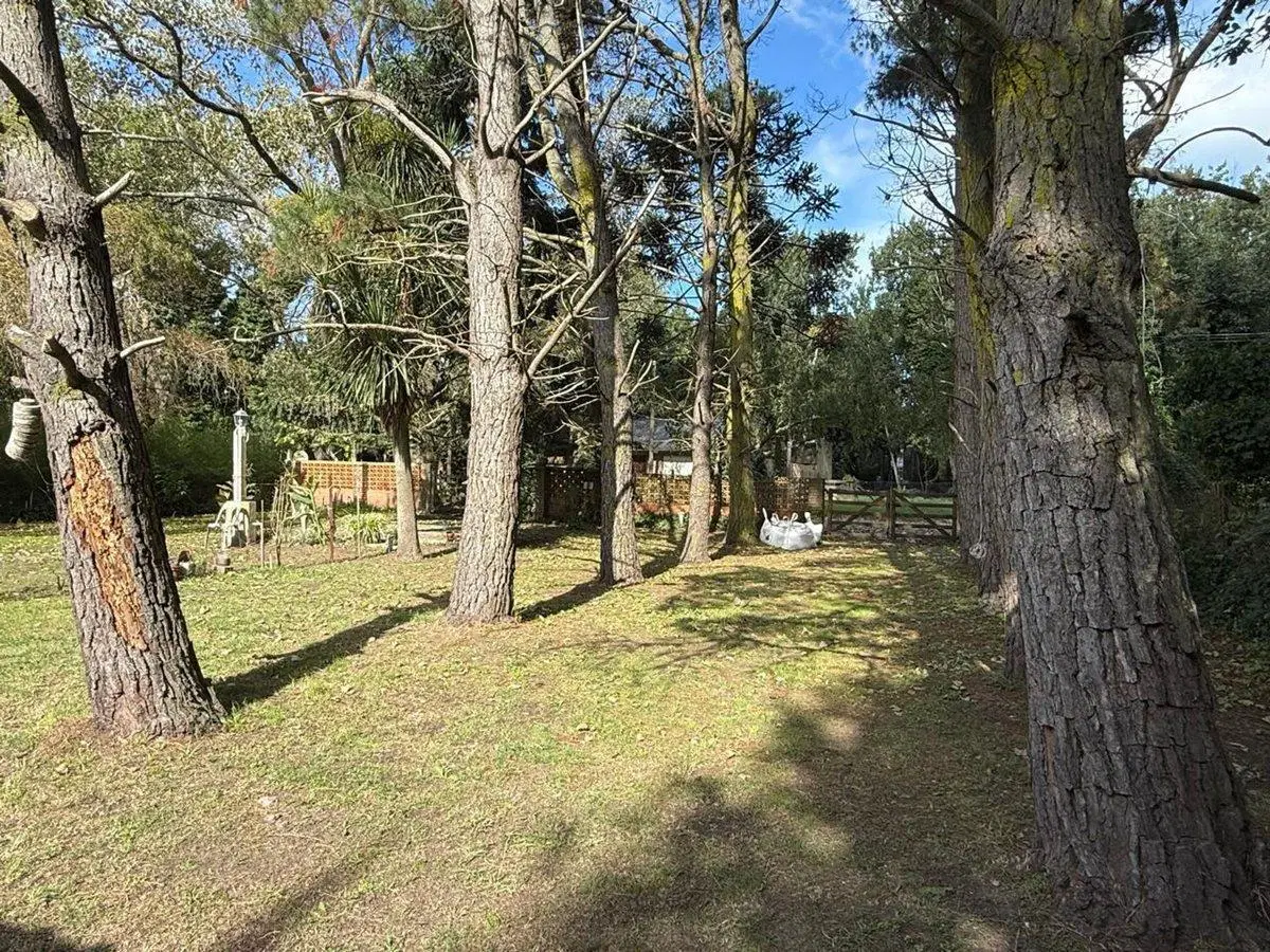 Venta Casa 3 Ambientes Mar de Cobo  Altillo Parque 2