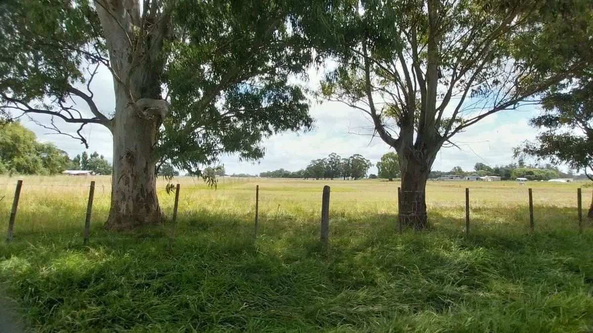 Alquiler de Campo de 11 hectáreas en El Casal 4