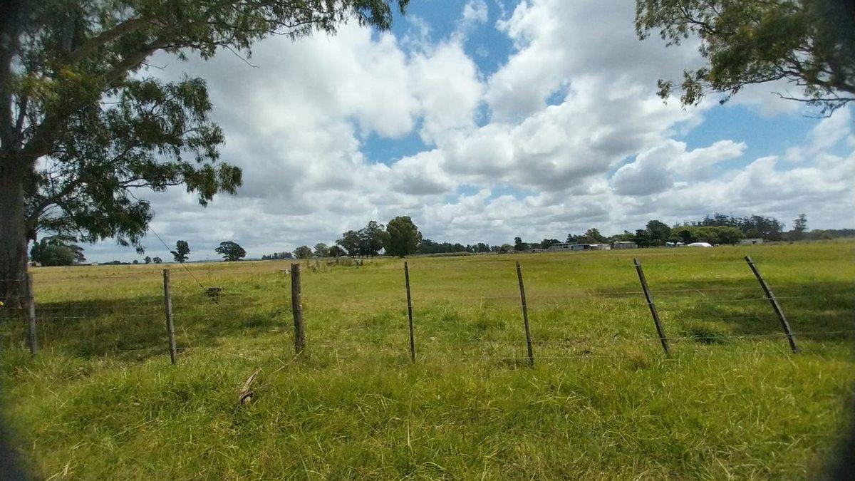 Foto de Venta de Campo de 11 hectáreas en El Casal, imagen 1