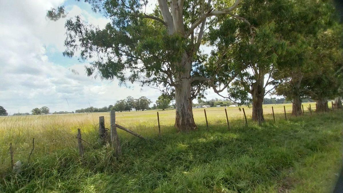Foto de Venta de Campo de 11 hectáreas en El Casal, imagen 3