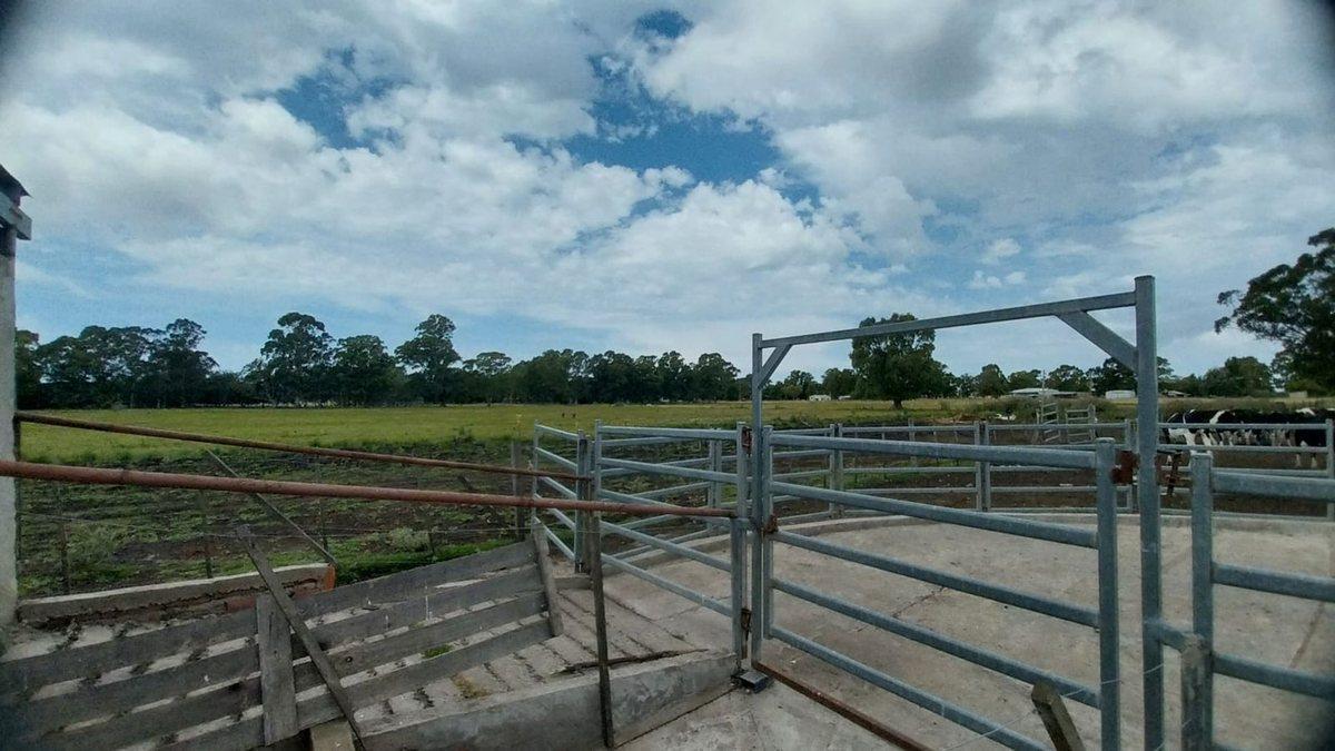 Foto de Venta de Campo de 11 hectáreas en El Casal, imagen 4
