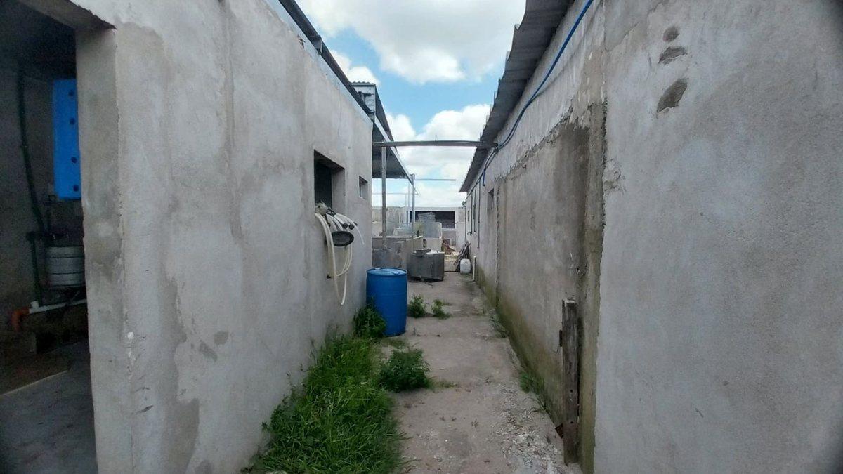 Foto de Venta de Campo de 11 hectáreas en El Casal, imagen 5