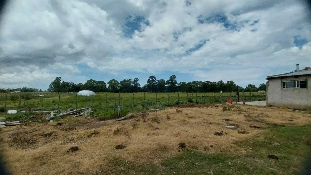 Venta de Campo de 11 hectáreas en El Casal 8